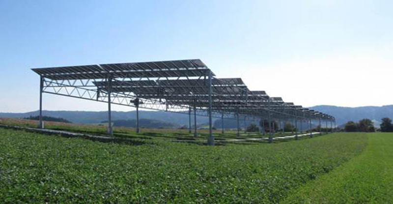 agricultural-pv system