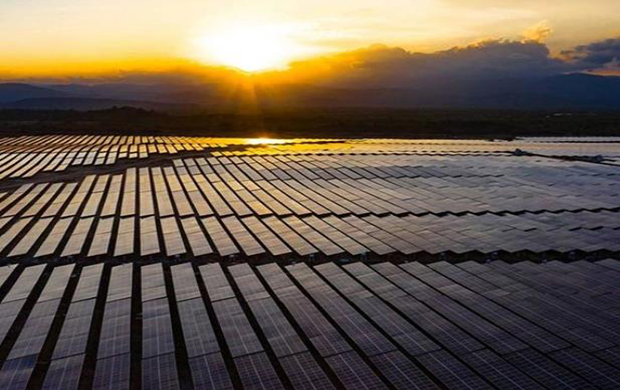 International Energy Agency forecasts 115 GW of new solar this year